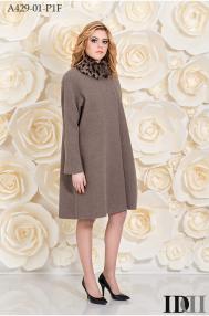 A429-01-P1F.jpg