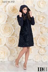A437-01-P1F.jpg