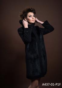 A437-01-P1F.jpg