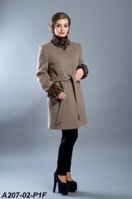 A207-02-P1F.jpg