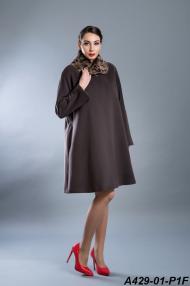 A429-01-P1F.jpg