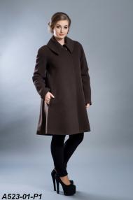 A523-01-P1.jpg