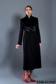 A546-01-P1F.jpg