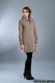 A610-01-2P1D.jpg