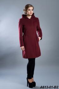 A613-01-B2.jpg