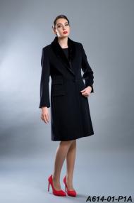 A614-01-P1A.jpg