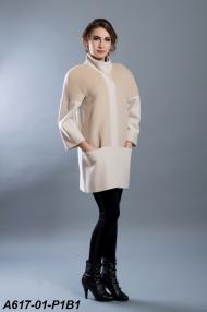 A617-01-P1B1.jpg