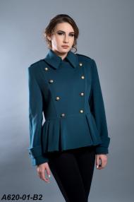A620-01-B2.jpg