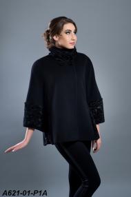 A621-01-P1A.jpg