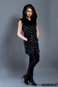 A636-01-F.jpg