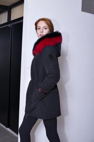 FW2017mail.jpg